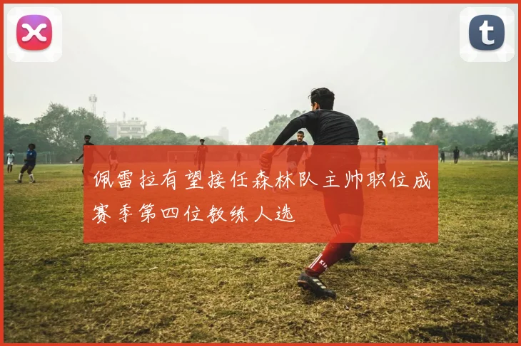 佩雷拉有望接任森林队主帅职位成赛季第四位教练人选