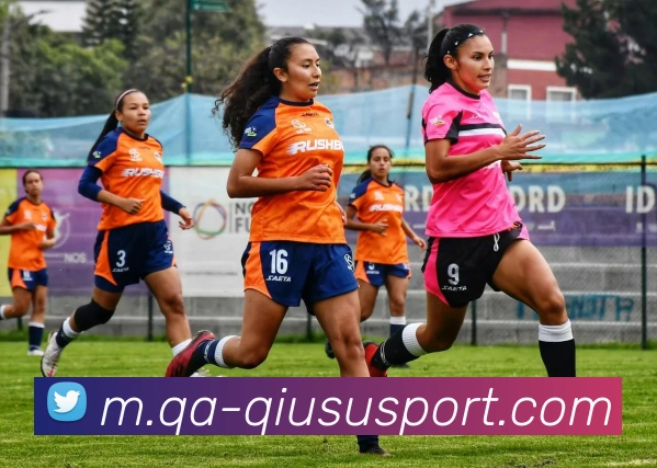 球速体育平台生态图