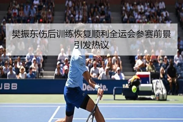 樊振东伤后训练恢复顺利全运会参赛前景引发热议